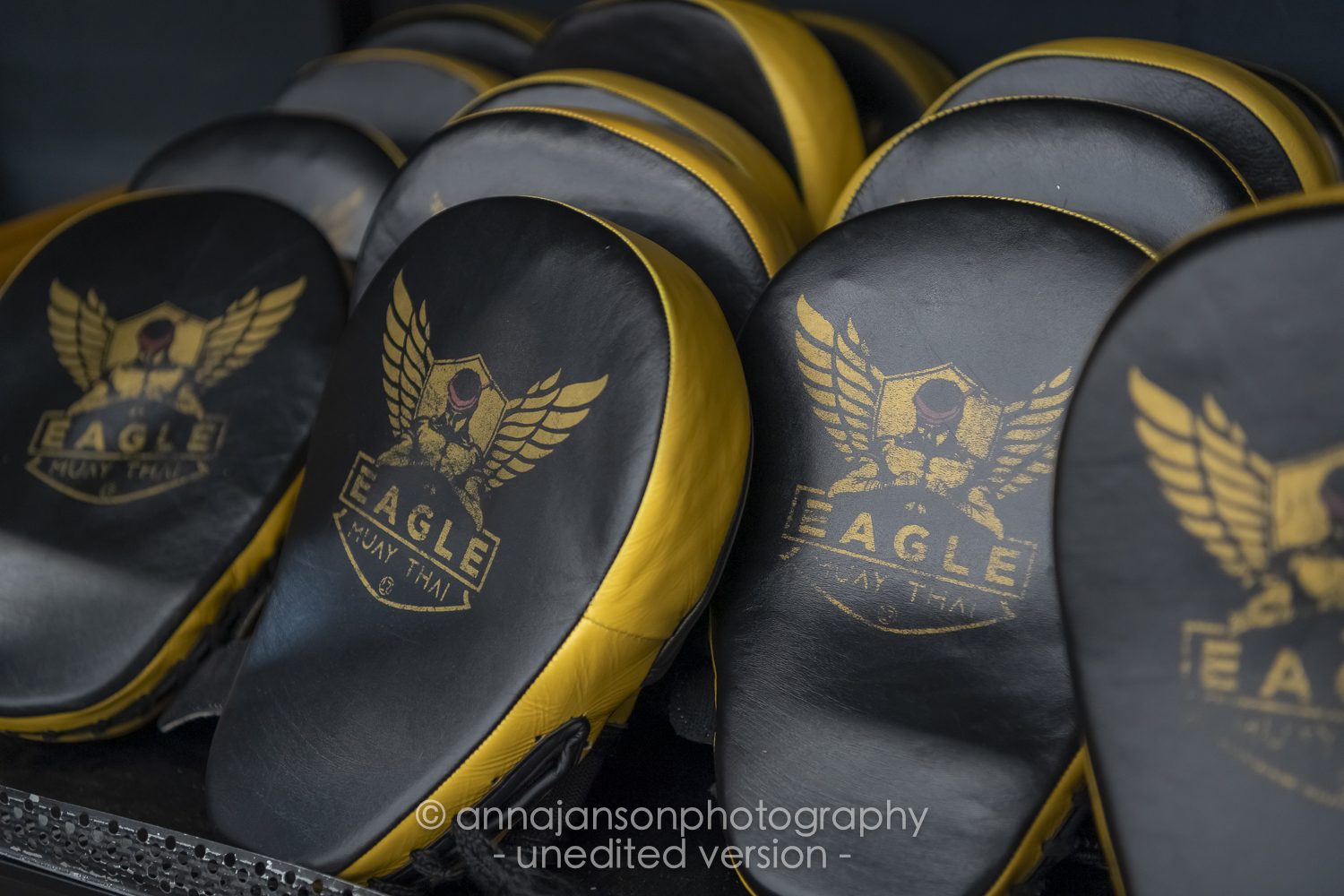 Pratzen mit dem Eagle-Muay-Thai-Wappen